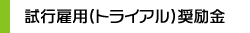 試行雇用（トライアル）奨励金